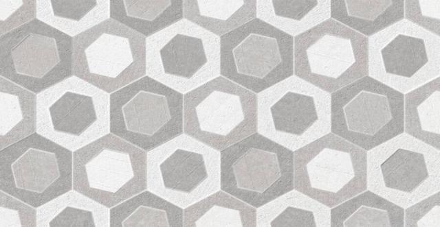 Cover Lema Gris