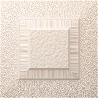 Taco Gallery Cream