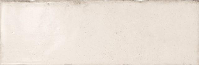 24102 Gesso