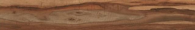 Dreamwood Viejo