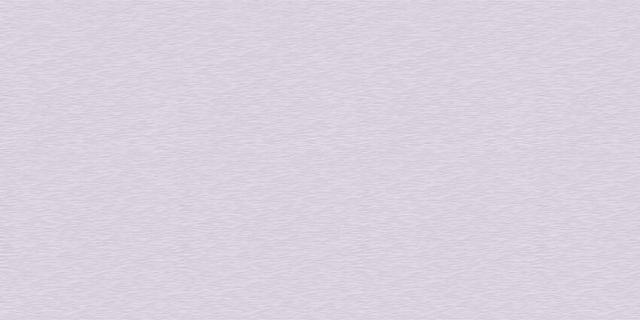 WT9LST05 Luster Gris