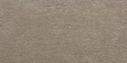 Light Stone 25х50 Taupe