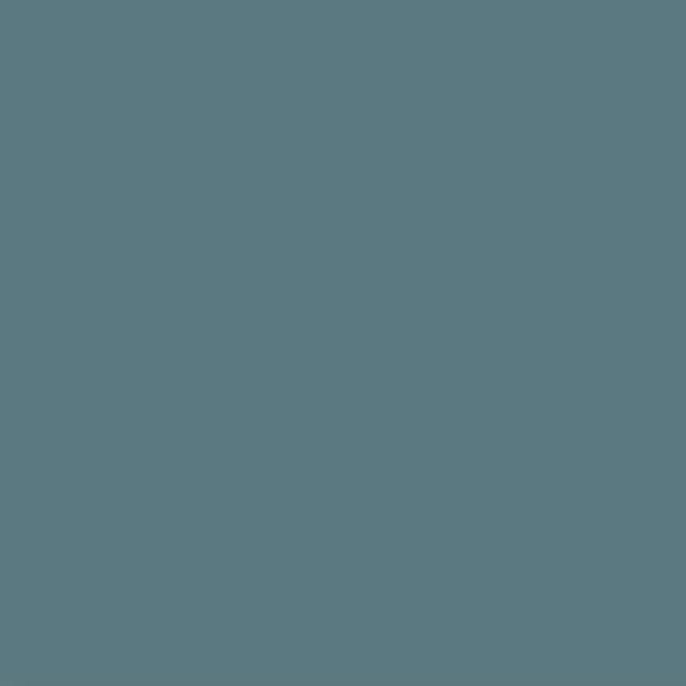 Pav Vitra Blue