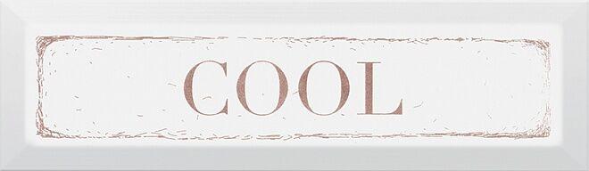 NT/C28/2882 Cool Карамель