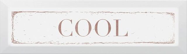 NT/C28/2882 Cool Карамель