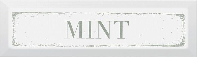 NT/A38/9001 Mint Зеленый