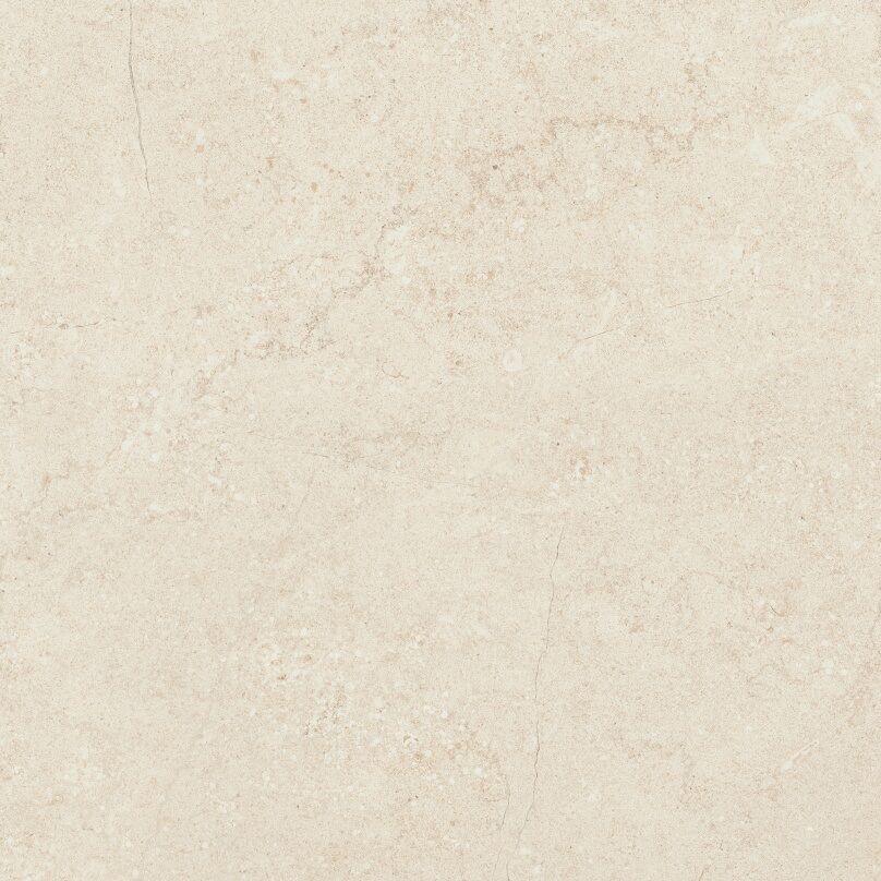 Concrete Bone