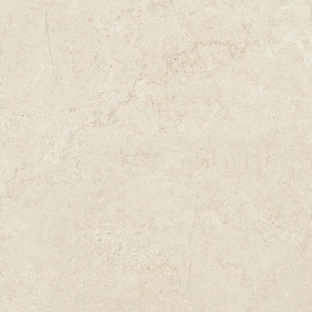 Concrete Bone