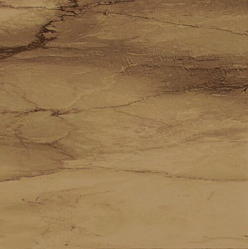 Pav. Venus Vision
