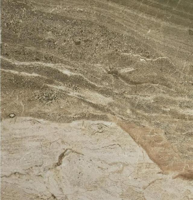 Daino Reale Natural