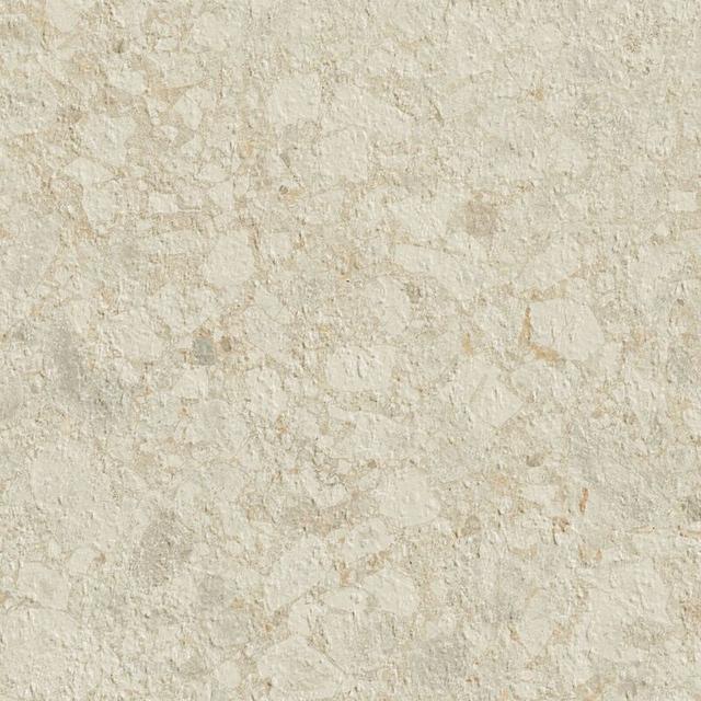 Globe Ice Grip