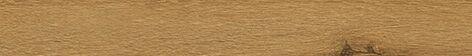 610090001669 Cognac Listello