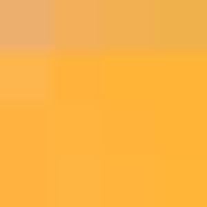 D21-1Ch Ochre Yellow