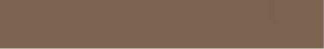 Strip 29 Coffee Brown