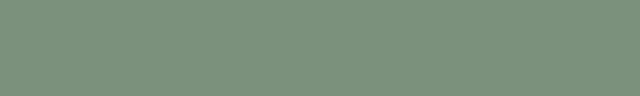 Strip 28 Light Green