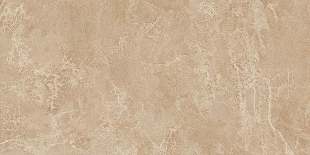 Force Beige 120