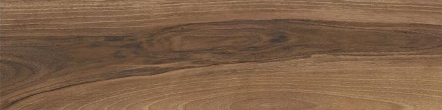 610010000818 Walnut