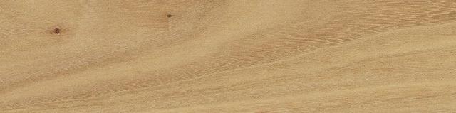 Element Olmo 7.5