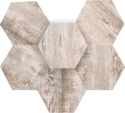 SP01 Hexagon