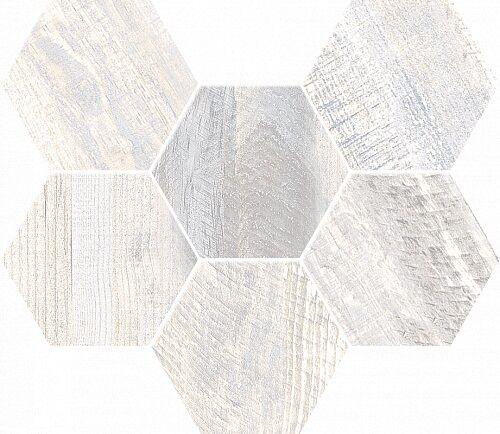 SP00 Hexagon