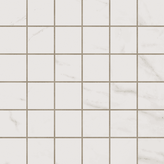 Mosaic ID01 nat