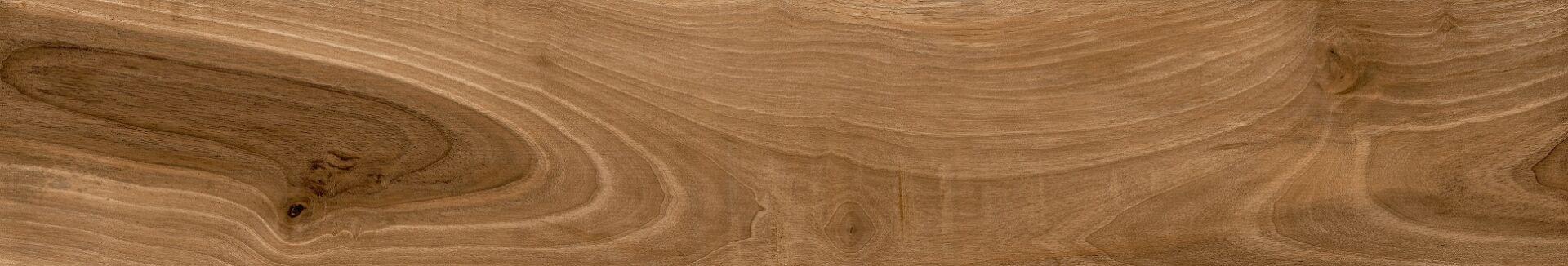 Tasmania Teak
