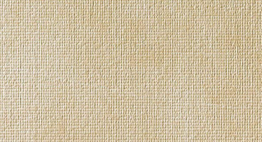 600080000356 Ivory Micro 3D