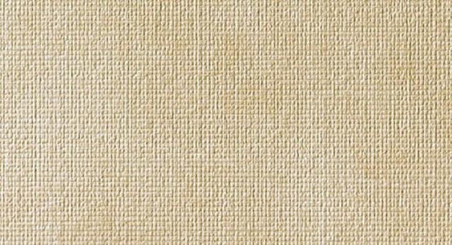 600080000356 Ivory Micro 3D
