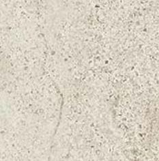 610090001473 Ivory Bottone