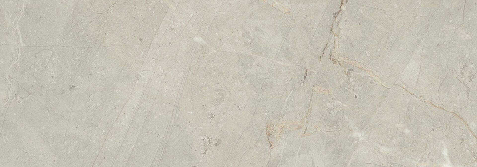 Pav Milord Gris