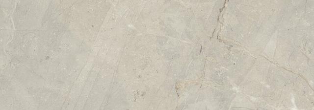 Pav Milord Gris