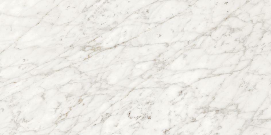 02576 Majestic Apuanian White