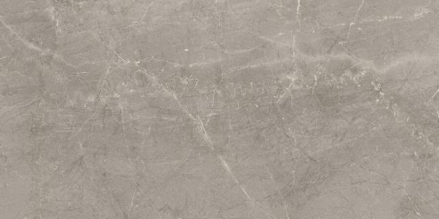 02579 Majestic Supreme Grey
