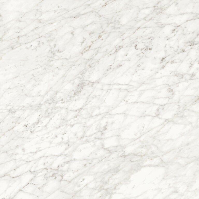 02563 Majestic Apuanian White