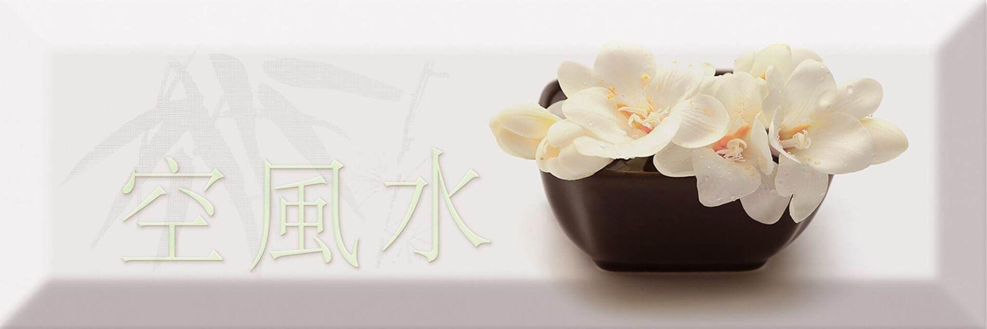 Decor Japan Tea 04 A