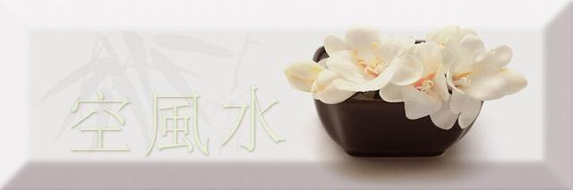 Decor Japan Tea 04 A