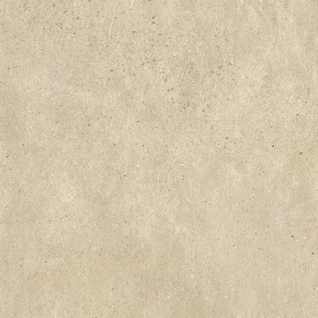 610010001324 Ash