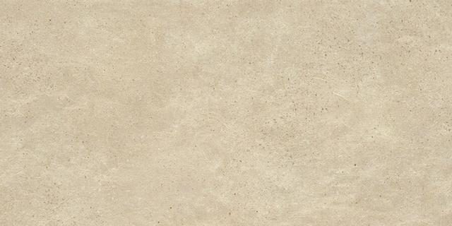 610010001327 Ash