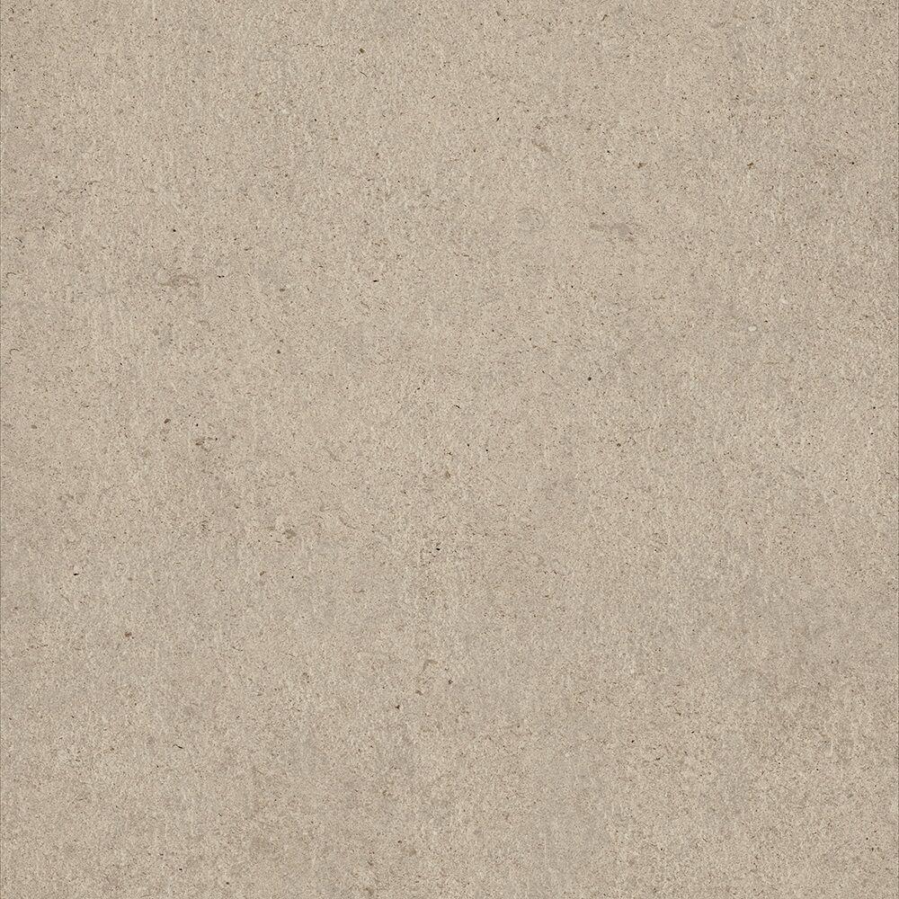 610010001318 Desert