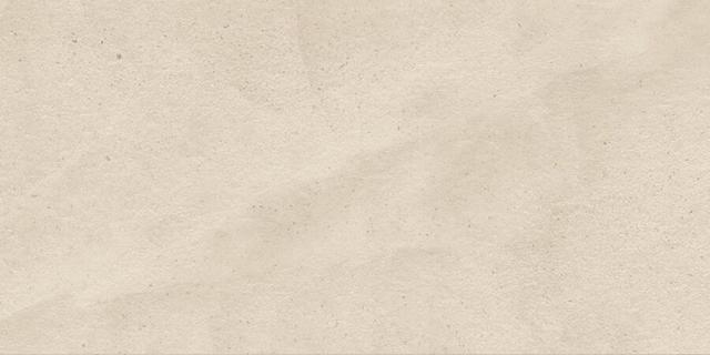610010001320 Moon