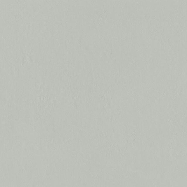 Grey 79.8