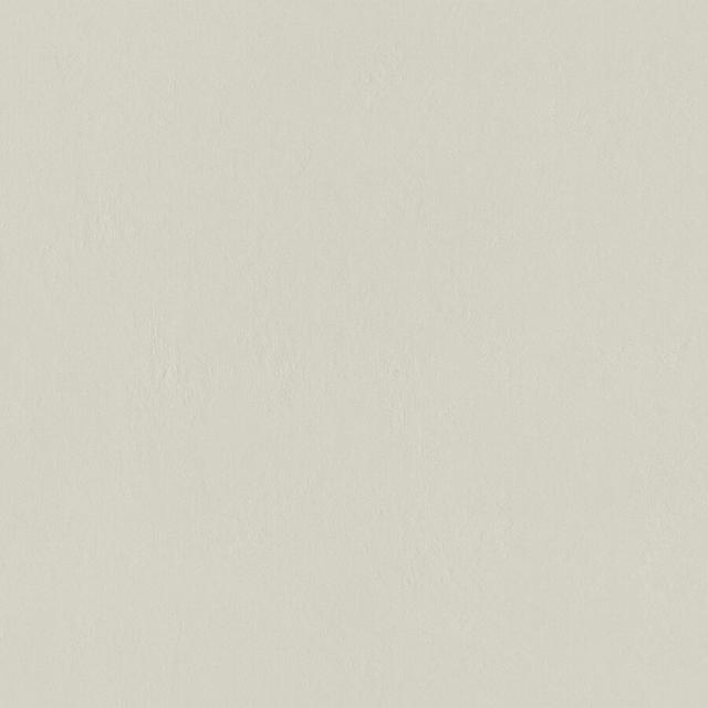 Light Grey 79.8