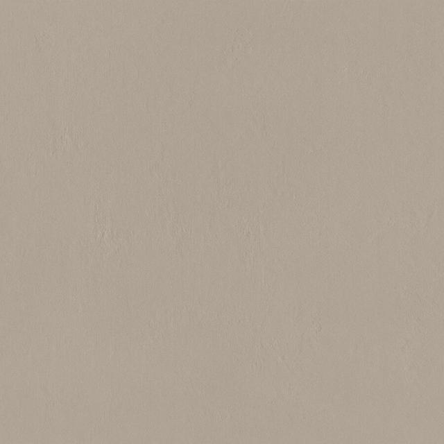 Beige 79.8