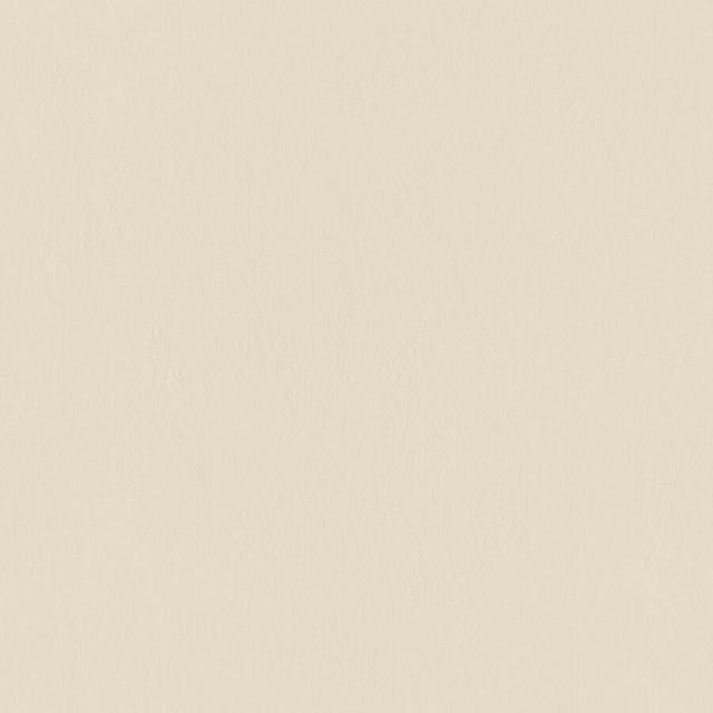 Ivory 60