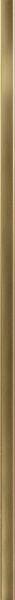 4D Profile Bronze