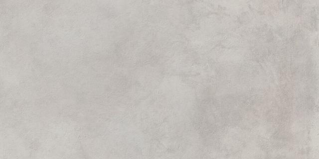 610010001458 Silver