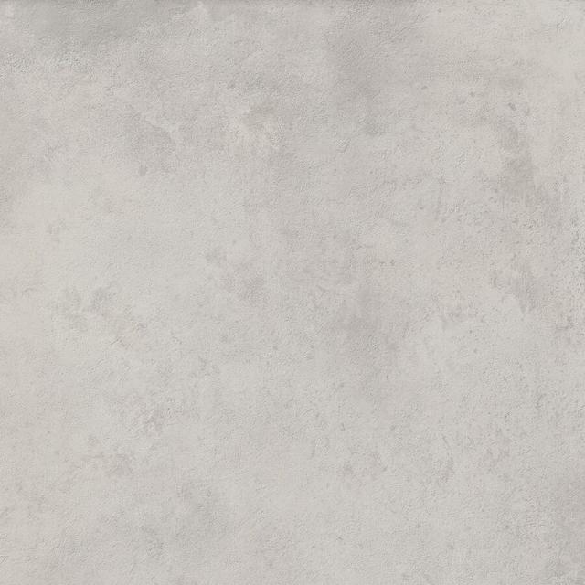 610010001644 Silver