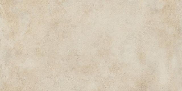 610010001648 Dust