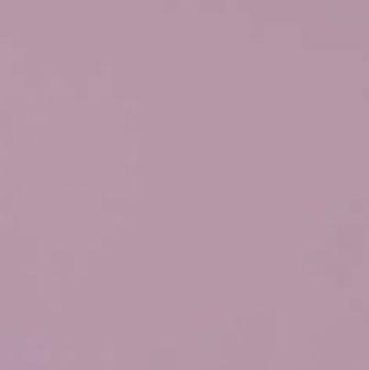 Pav.Cannes Violeta