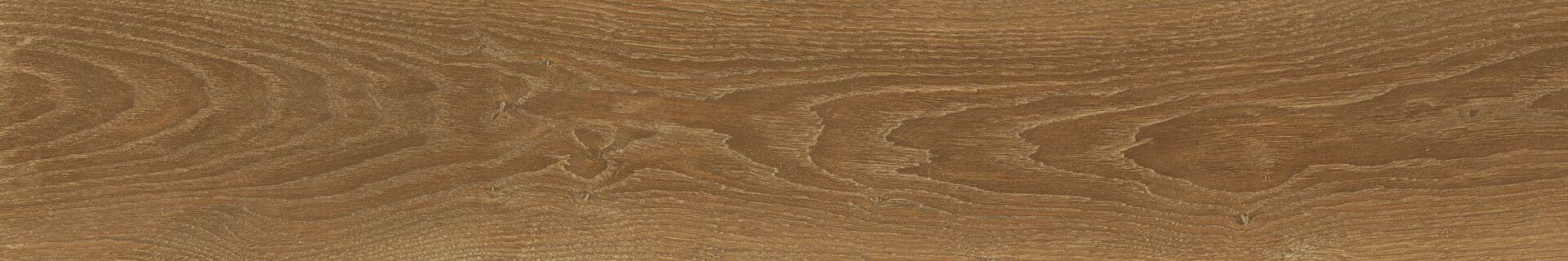 610010001621 Eligo Walnut
